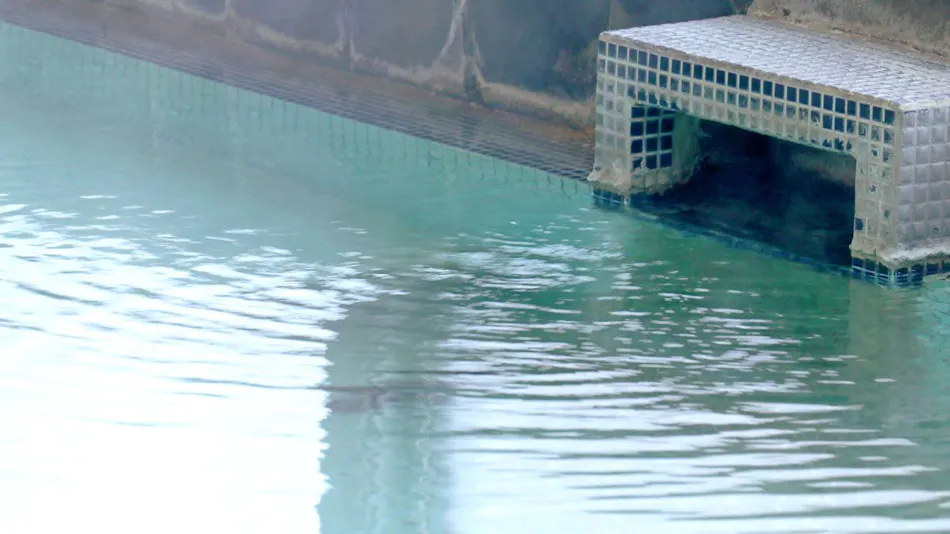 Oyu Onsen Yumoto Shoya Izumiya Ryokan <Niigata Prefecture>