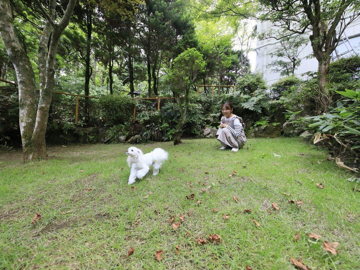 Yururi Hakone with DOGS