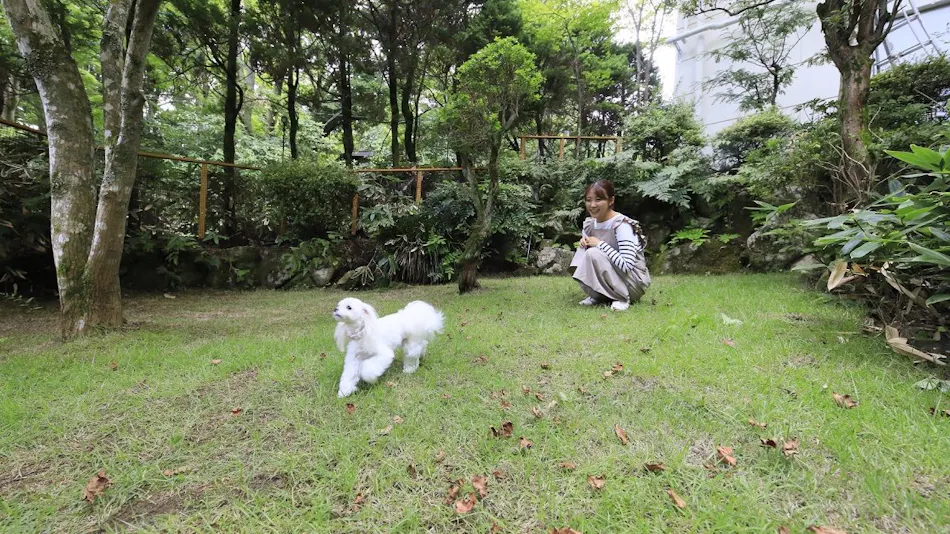 Yururi Hakone with DOGS