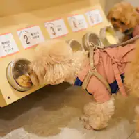 【รถเข็นขนม】