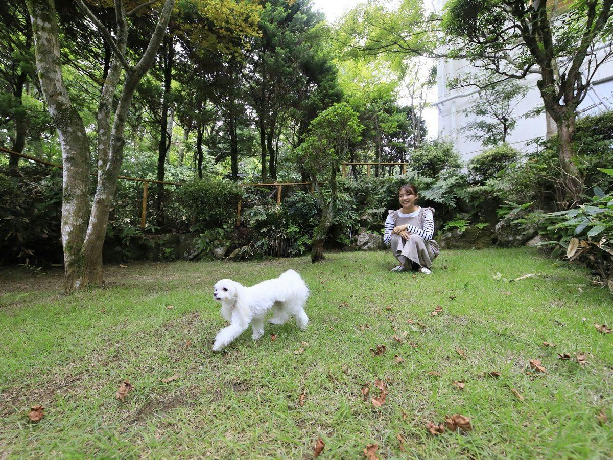 Yururi Hakone with DOGS