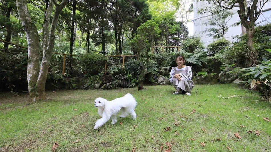 Yururi Hakone with DOGS