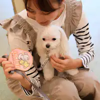 리드에 부착할 수 있습니다.