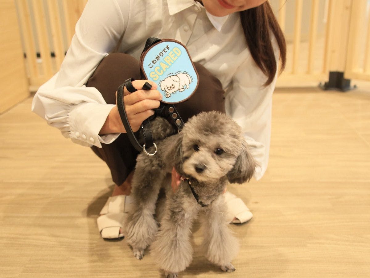 We provide message patches.