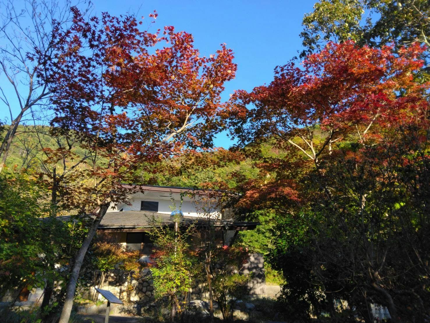 ห้องอาบน้ำรวม