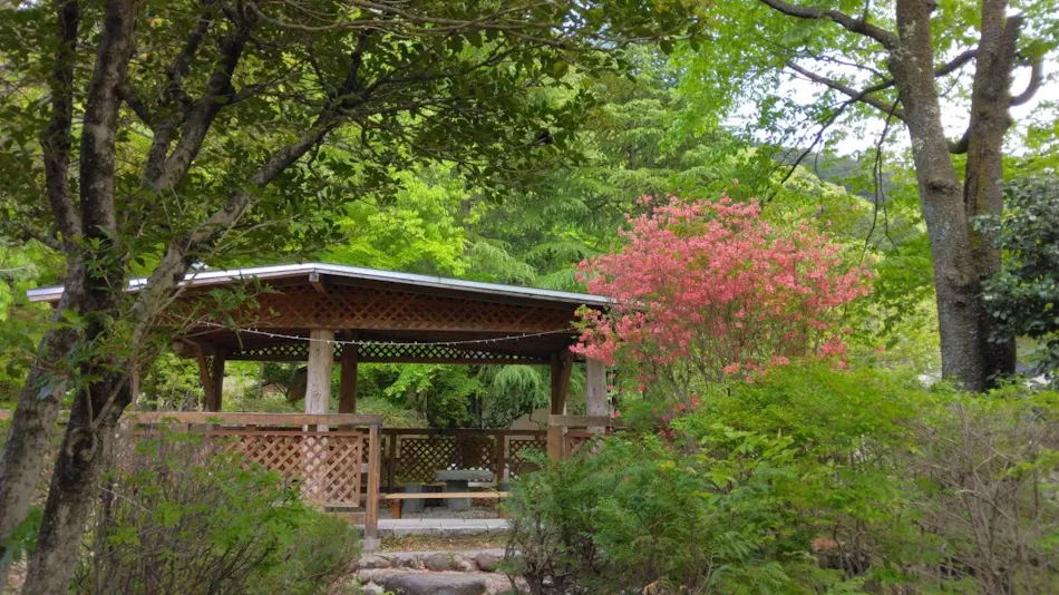 Maple Resort Kinugawa Onsen
