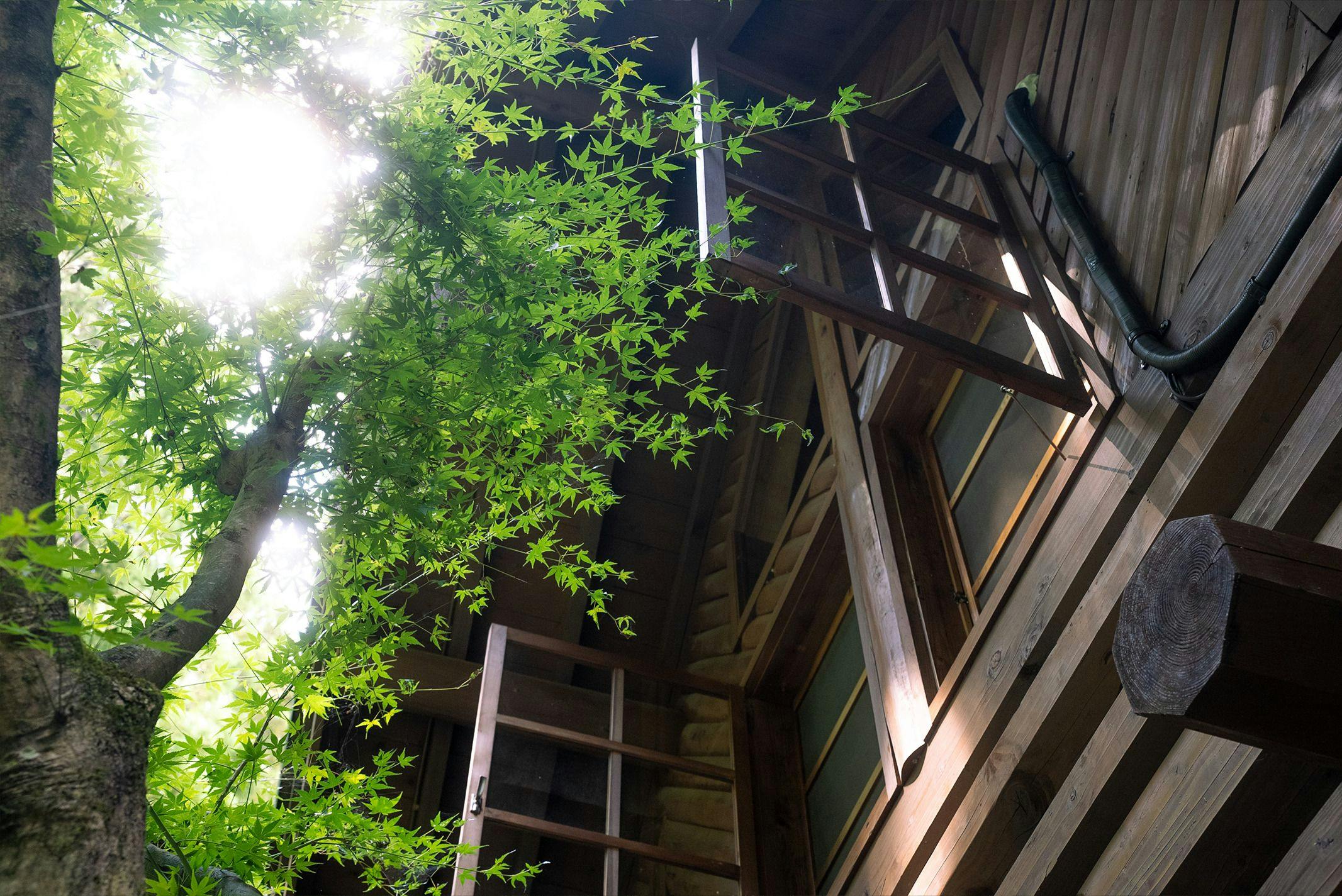 log&sauna Nagomi, Wakayama