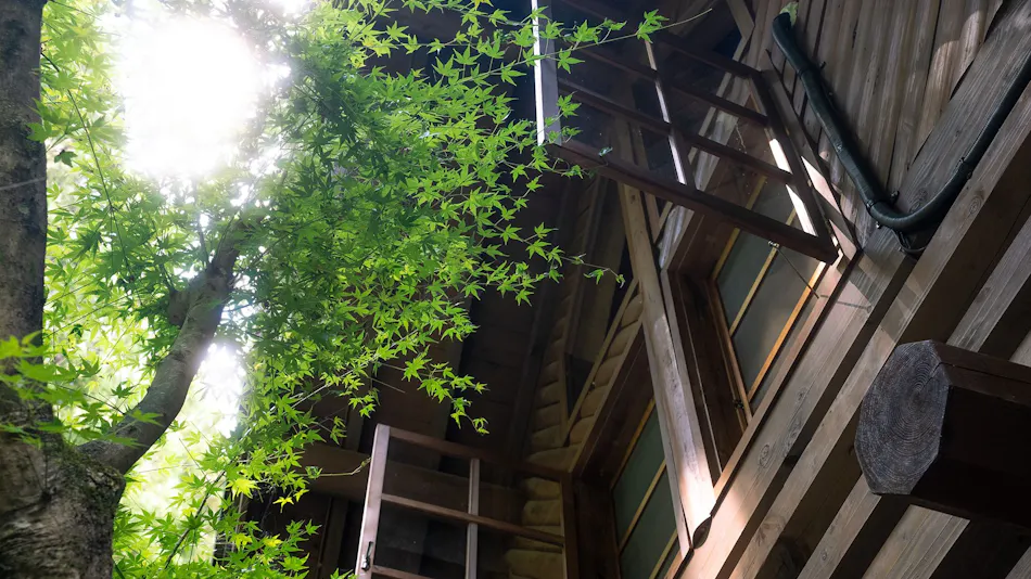 log&sauna Nagomi, Wakayama