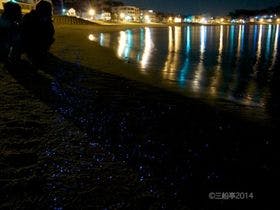 あなごの宿　三船亭＜篠島＞