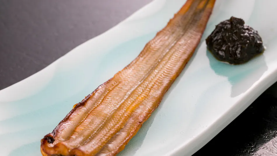 Anago no Yado Mifune-tei <Shinojima>