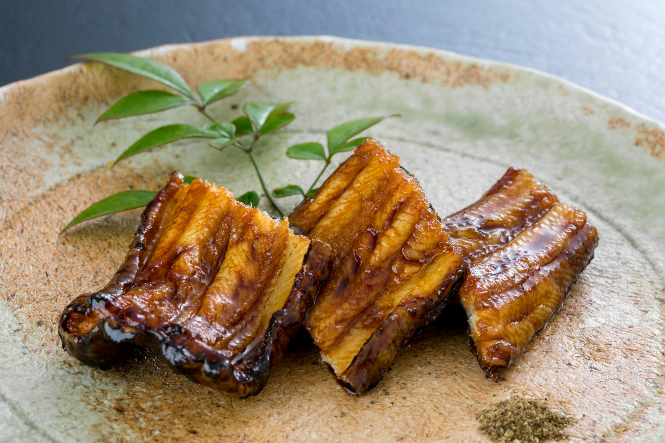 Anago no Yado Mifune-tei <Shinojima>