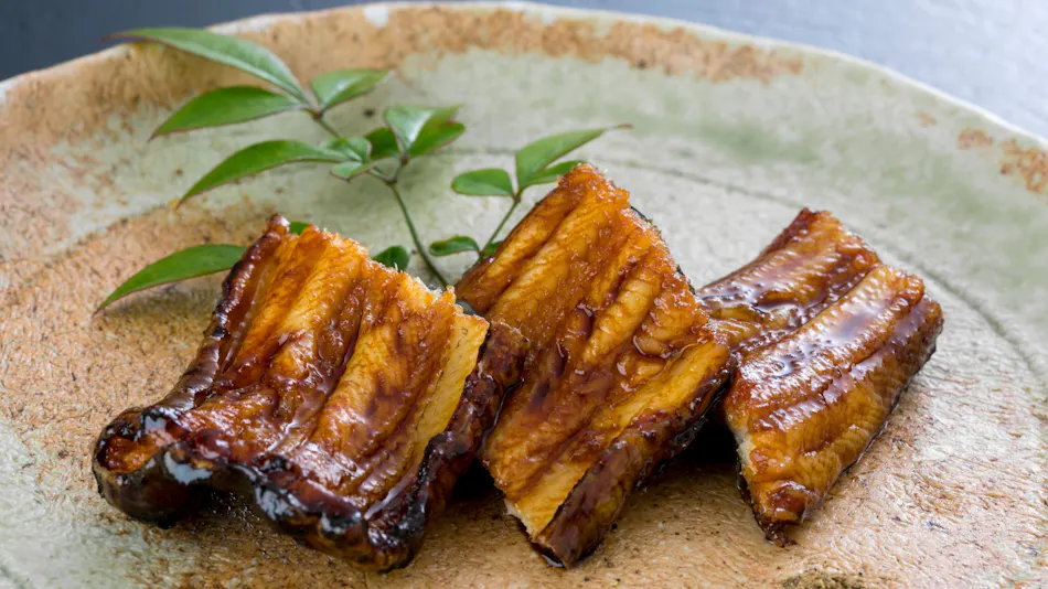 Anago no Yado Mifune-tei <Shinojima>
