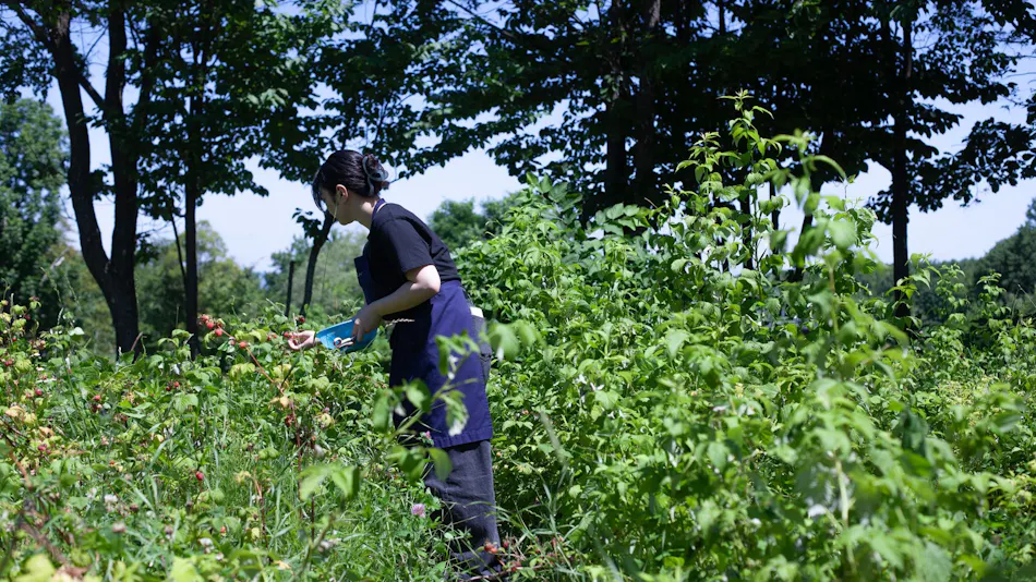 Sakuraoka Retreat Auberge Sondre