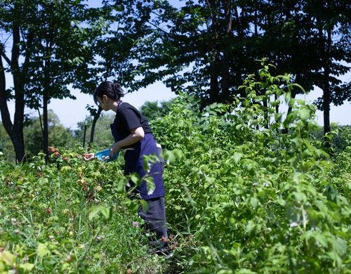 グッドライフガーデン