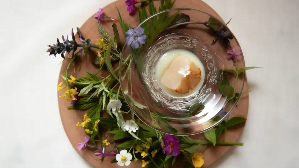 Sakuraoka Retreat Auberge Sondre