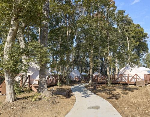 【グランピング】フォレスト/定員4名