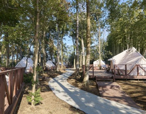 【グランピング】フォレスト/定員4名