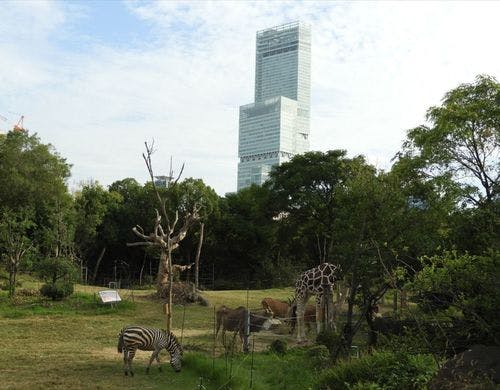 天王寺動物園：約2.5km