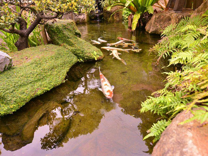 Nago Business Hotel