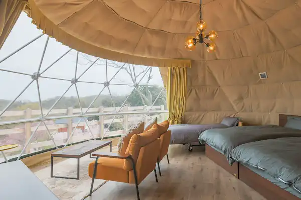 ~Room Natsu~ Haiwan Peliharaan Dibenarkan!