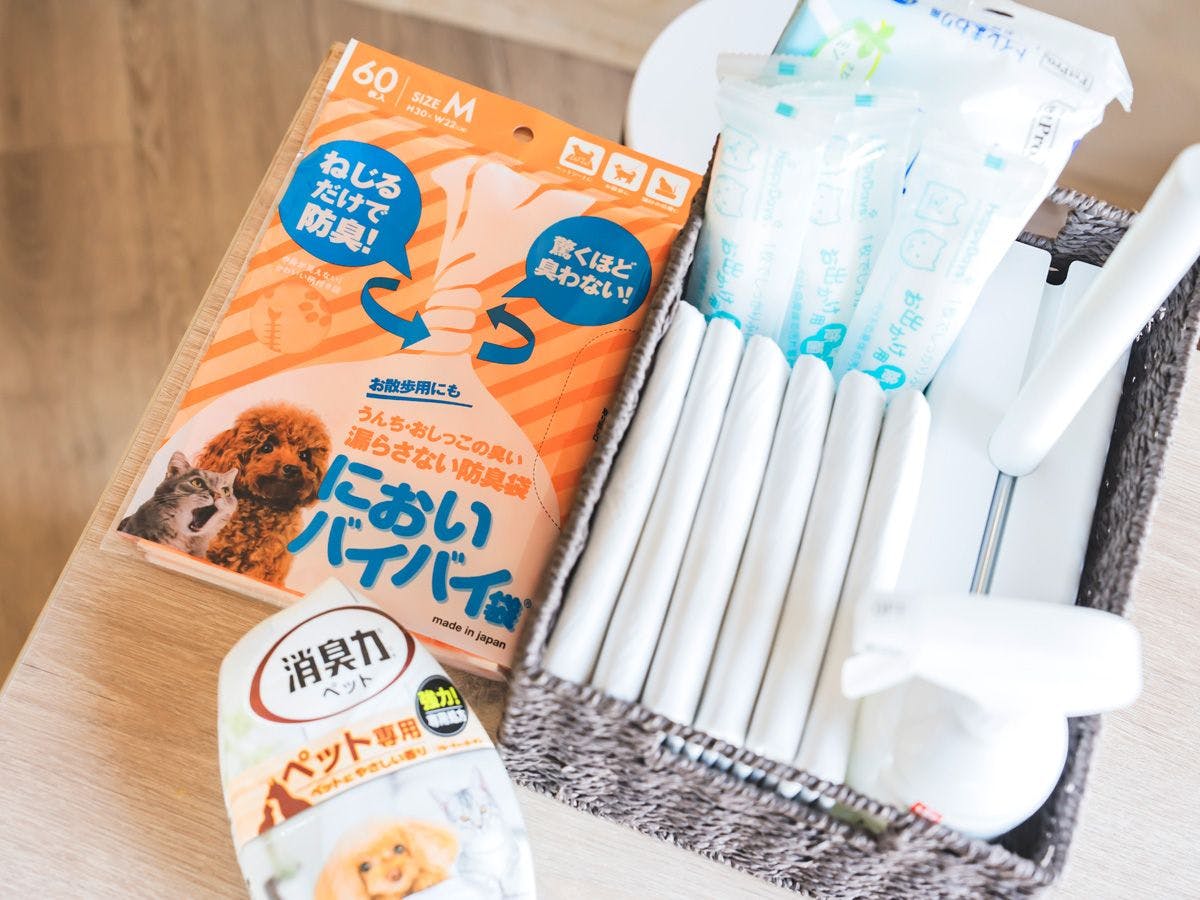 Miki Satoyama Glamping