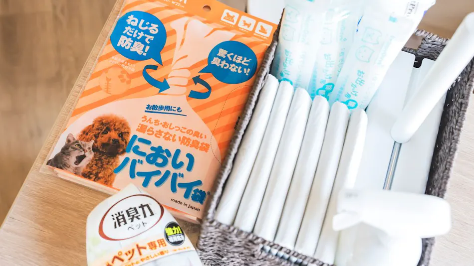 Miki Satoyama Glamping