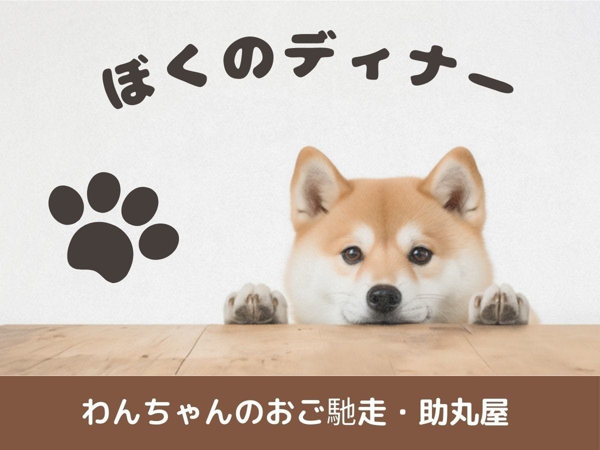 Miki Satoyama Glamping