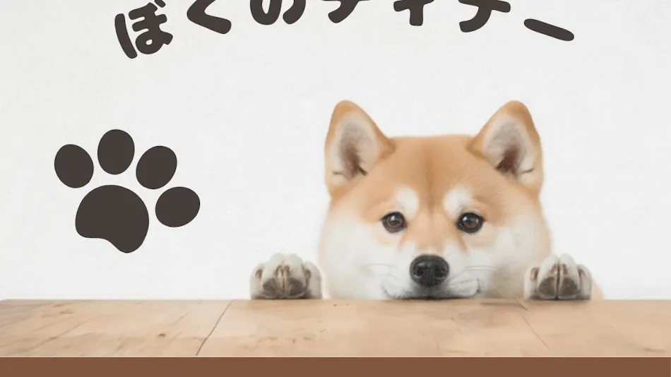 Miki Satoyama Glamping