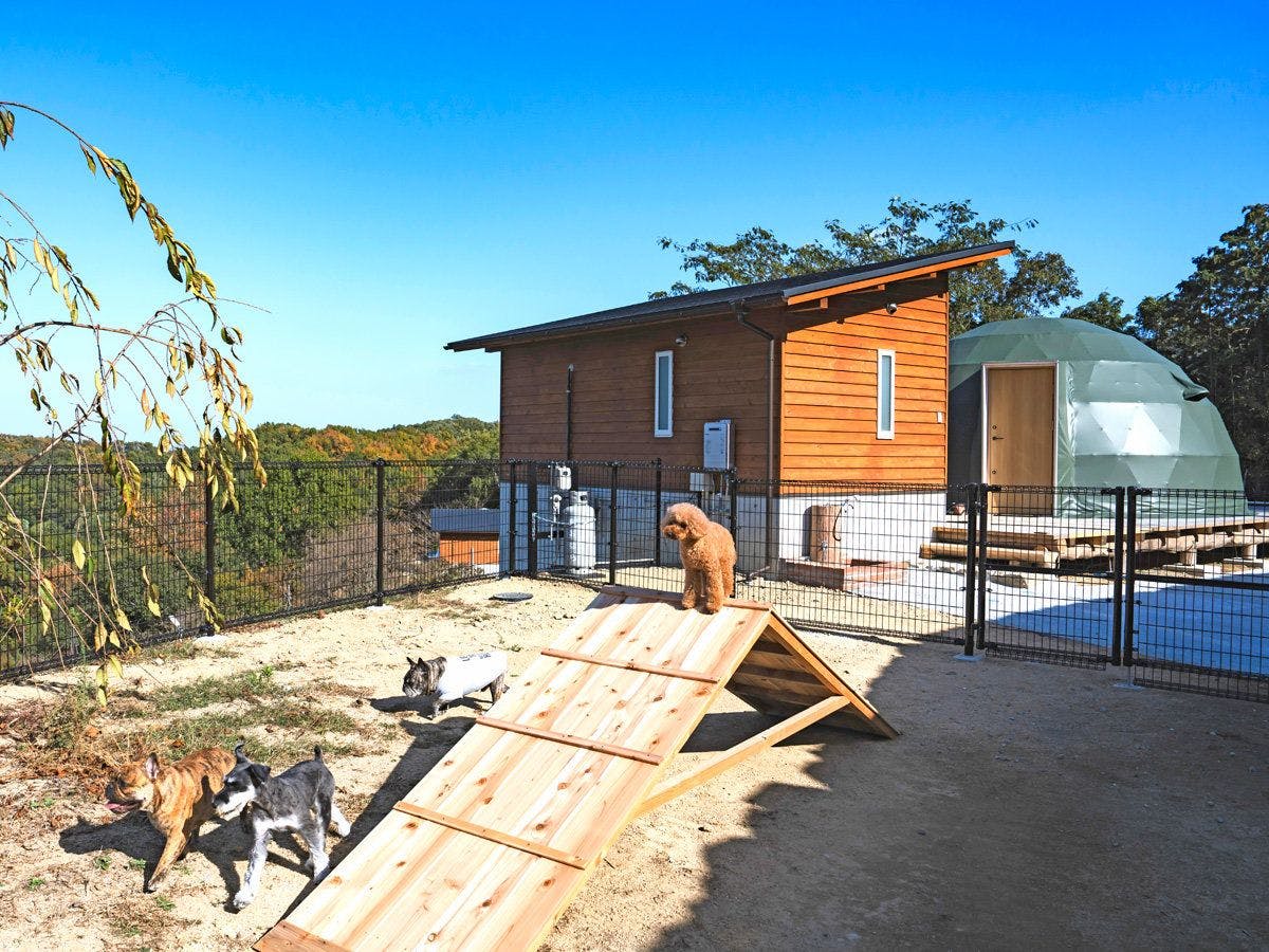 Miki Satoyama Glamping