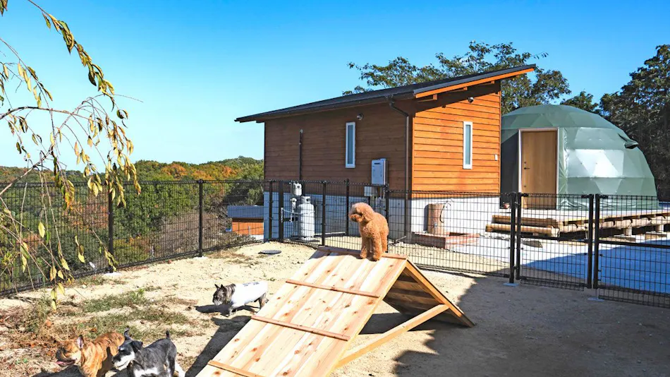 Miki Satoyama Glamping