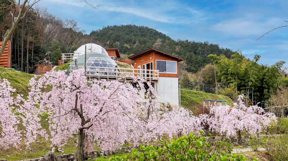 Miki Satoyama Glamping