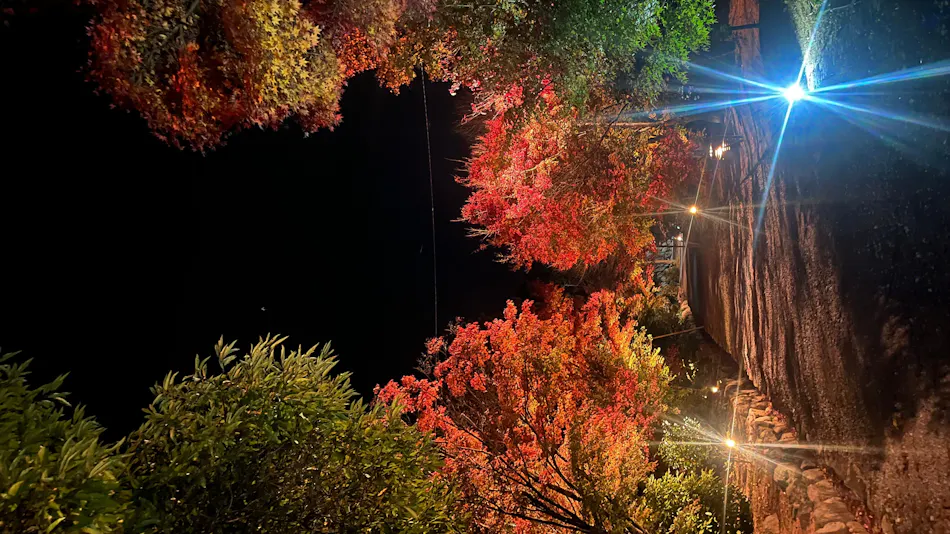 Miki Satoyama Glamping