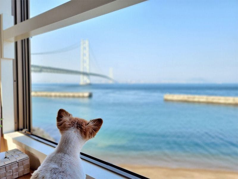 Tiz wan Akashi Kaikyo Bridge