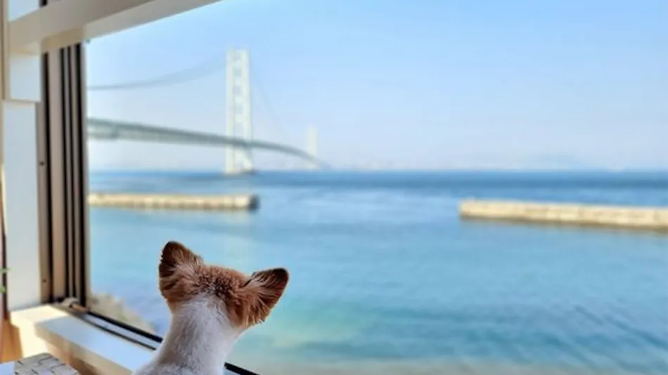 Tiz wan Akashi Kaikyo Bridge