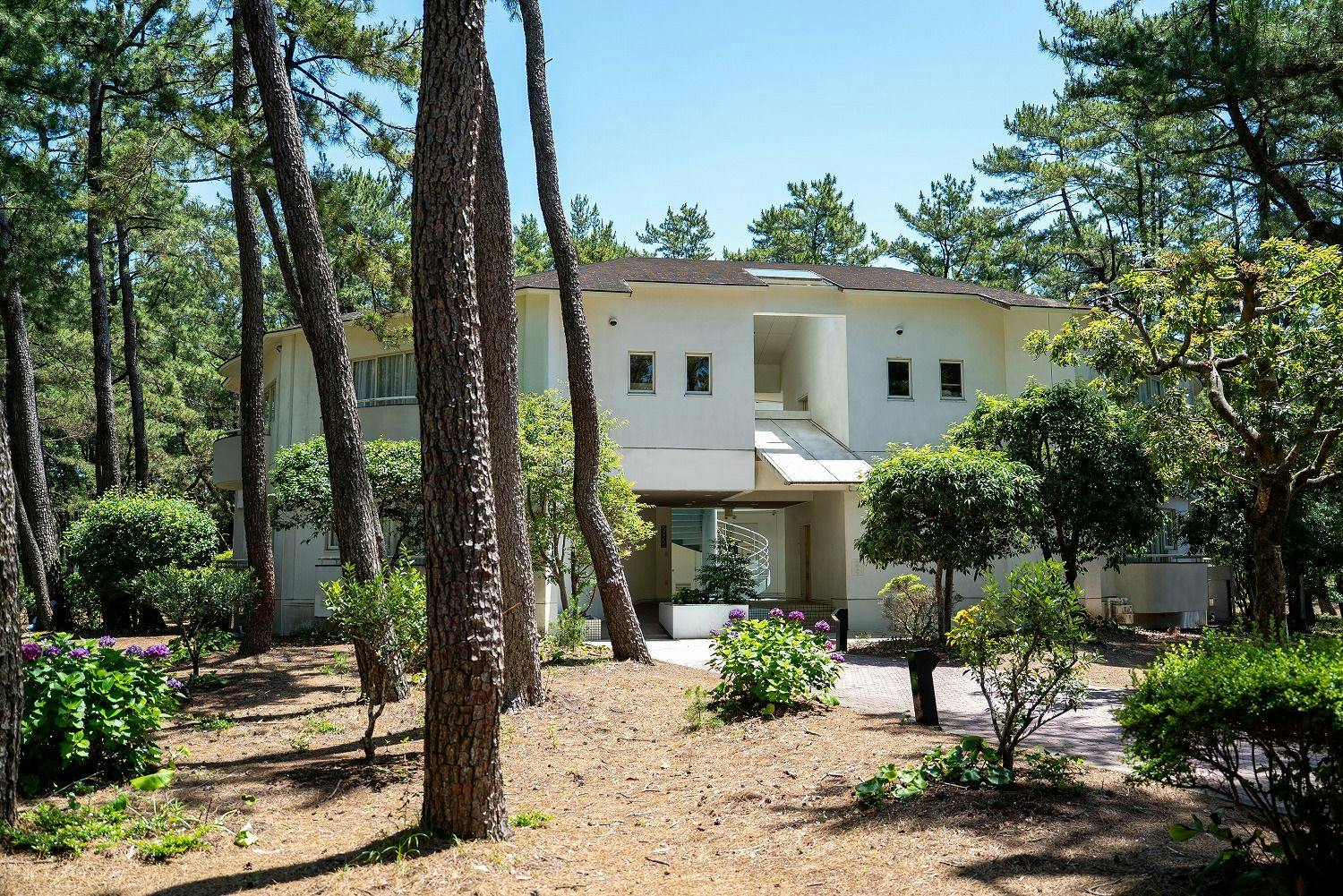 Seagaia Forest Cottage