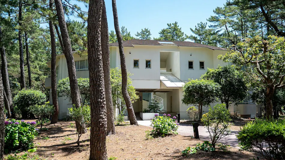Seagaia Forest Cottage