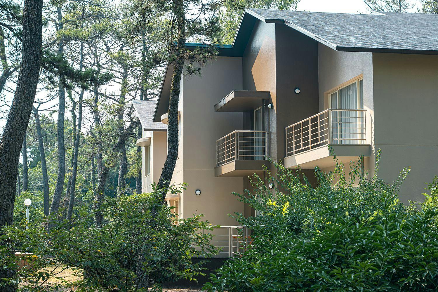 Seagaia Forest Cottage