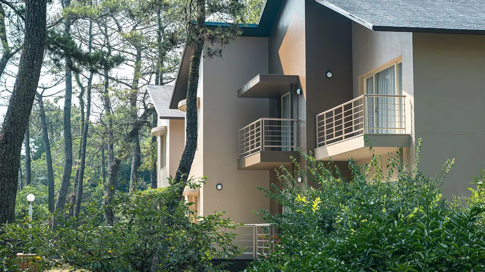 Seagaia Forest Cottage