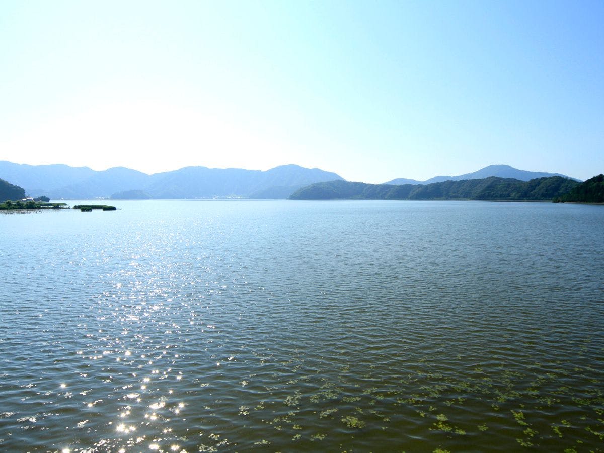 สามโกะโกะ