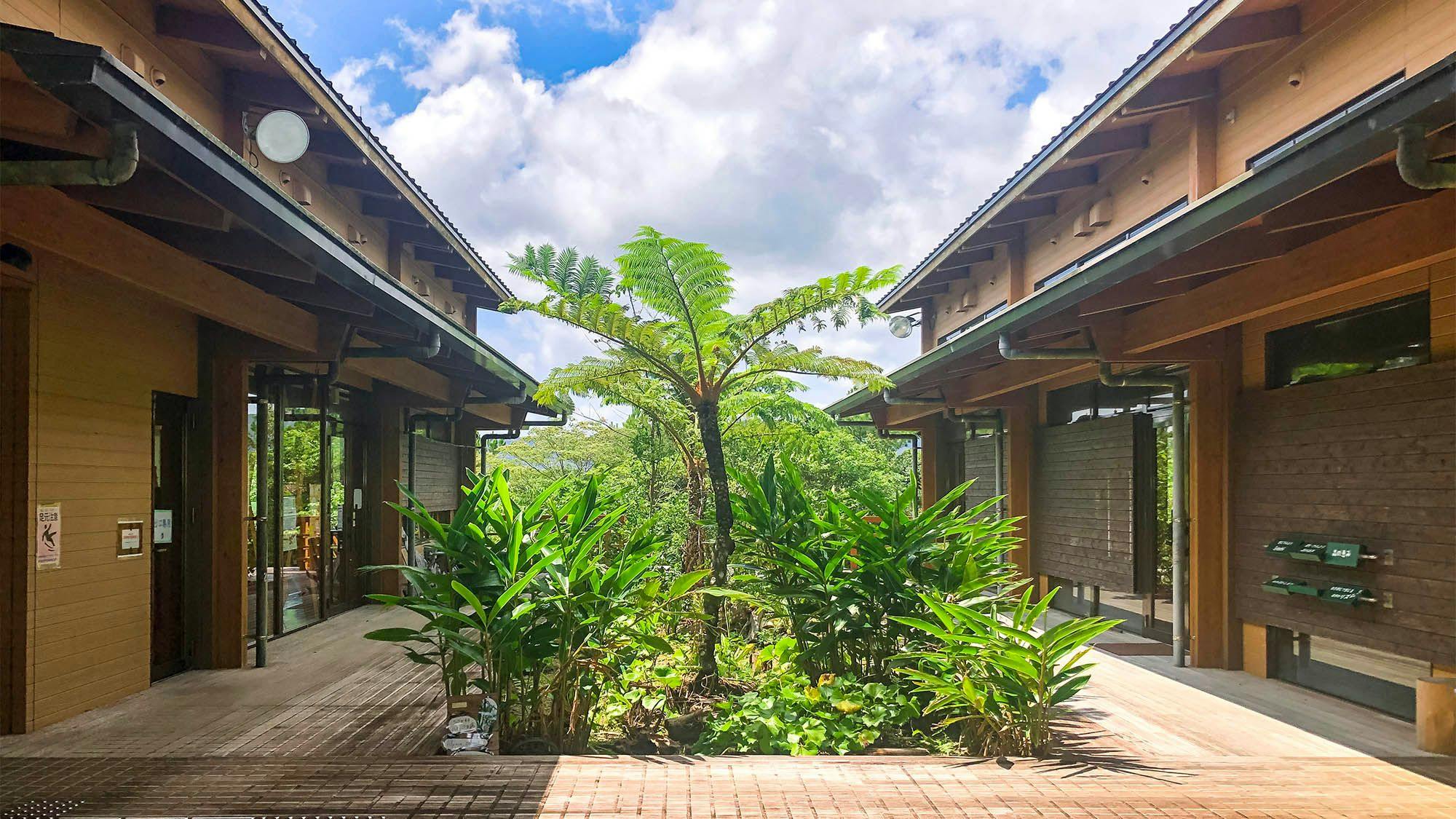 Yanbaru Forest Learning Center