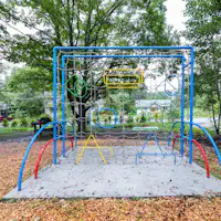 "RetoLi Forest" dikelilingi oleh pepohonan