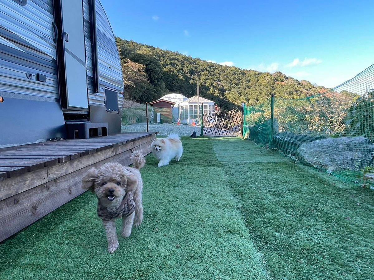 Izu Coco Glamping Resort
