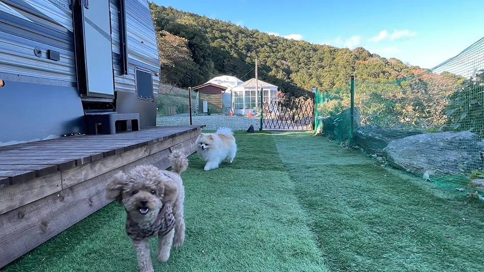 Izu Coco Glamping Resort