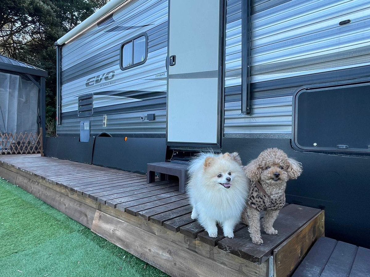 Izu Coco Glamping Resort