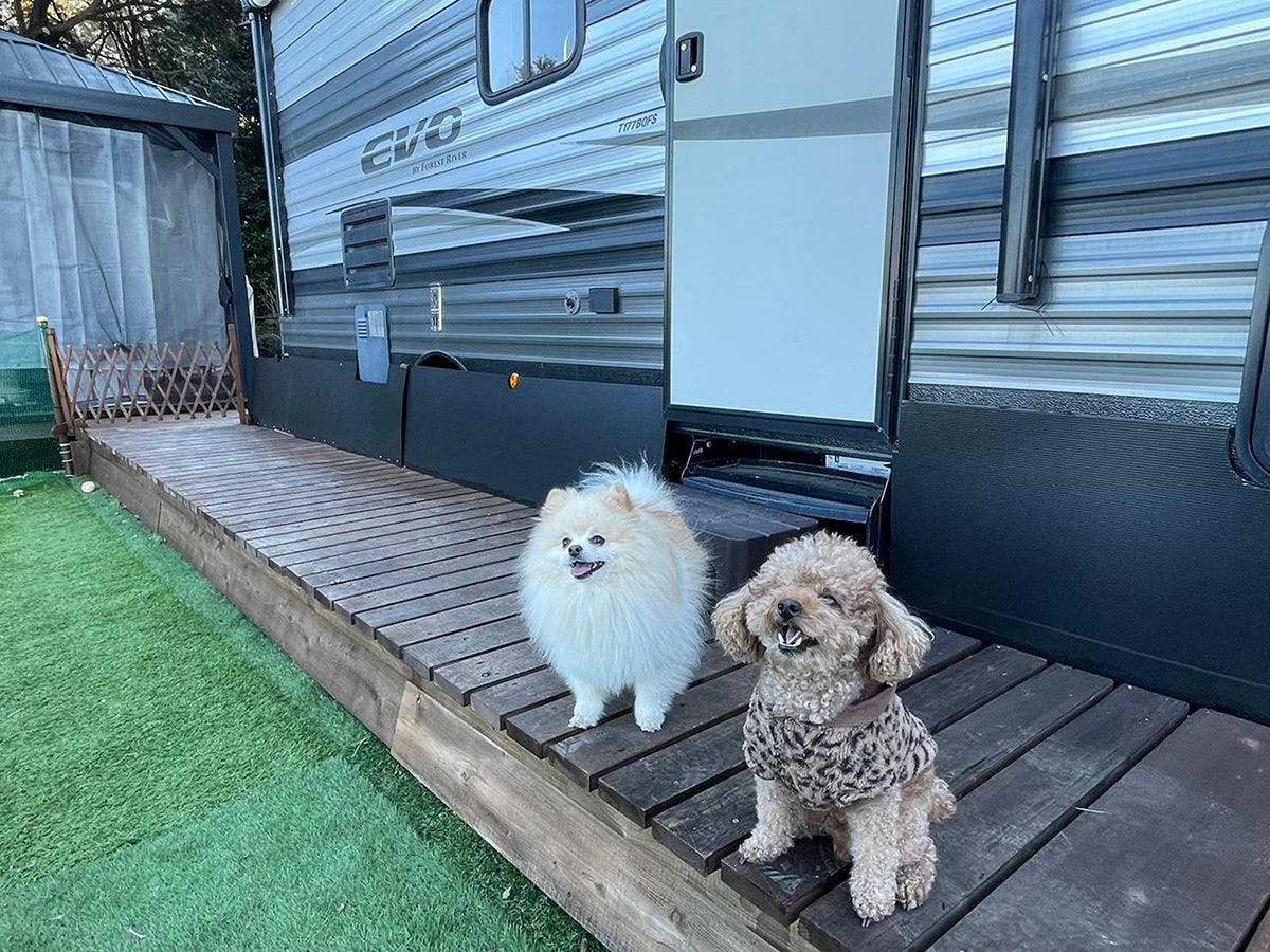 Izu Coco Glamping Resort