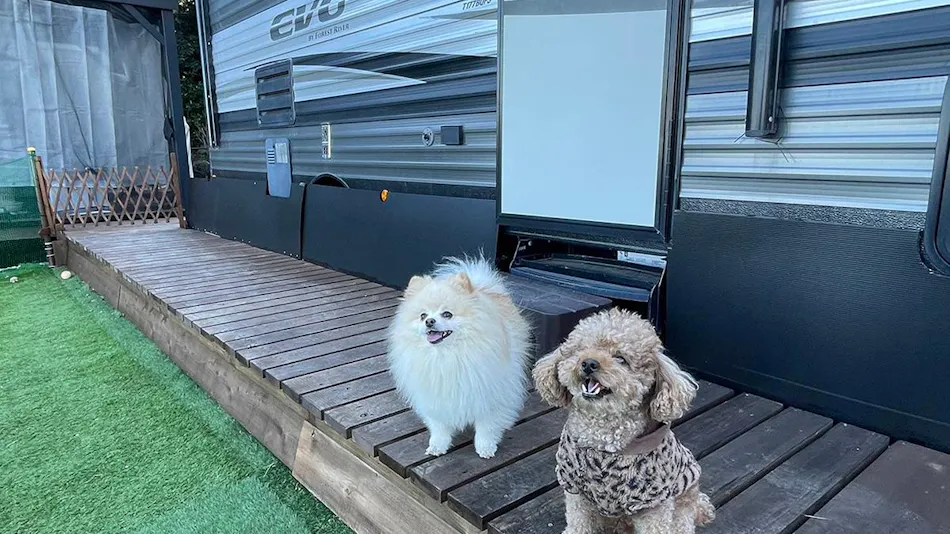 Izu Coco Glamping Resort