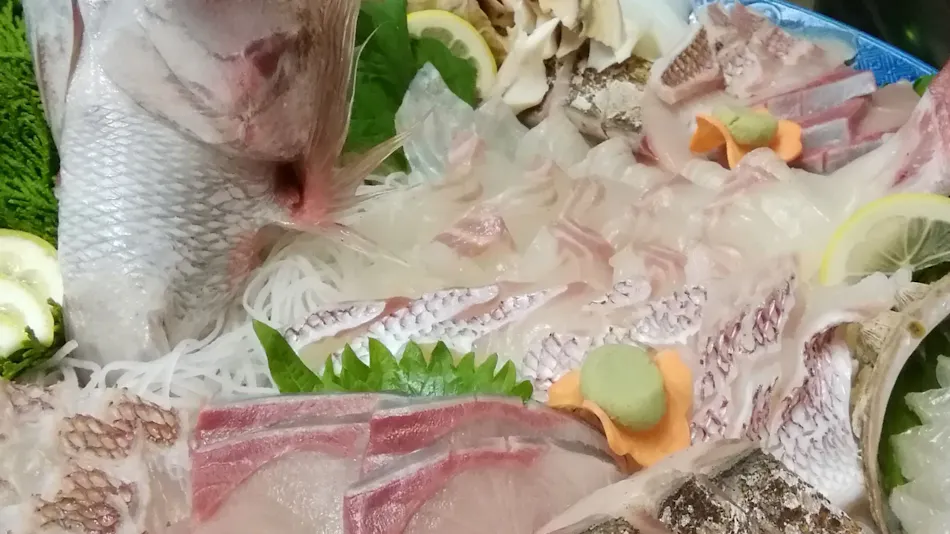 Japanese-Style Private Villa with Ocean View: Nanpu Terrace