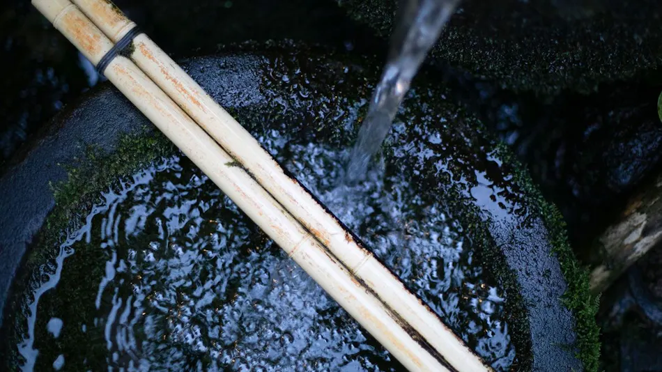 Aso Tsuruya Ryokan