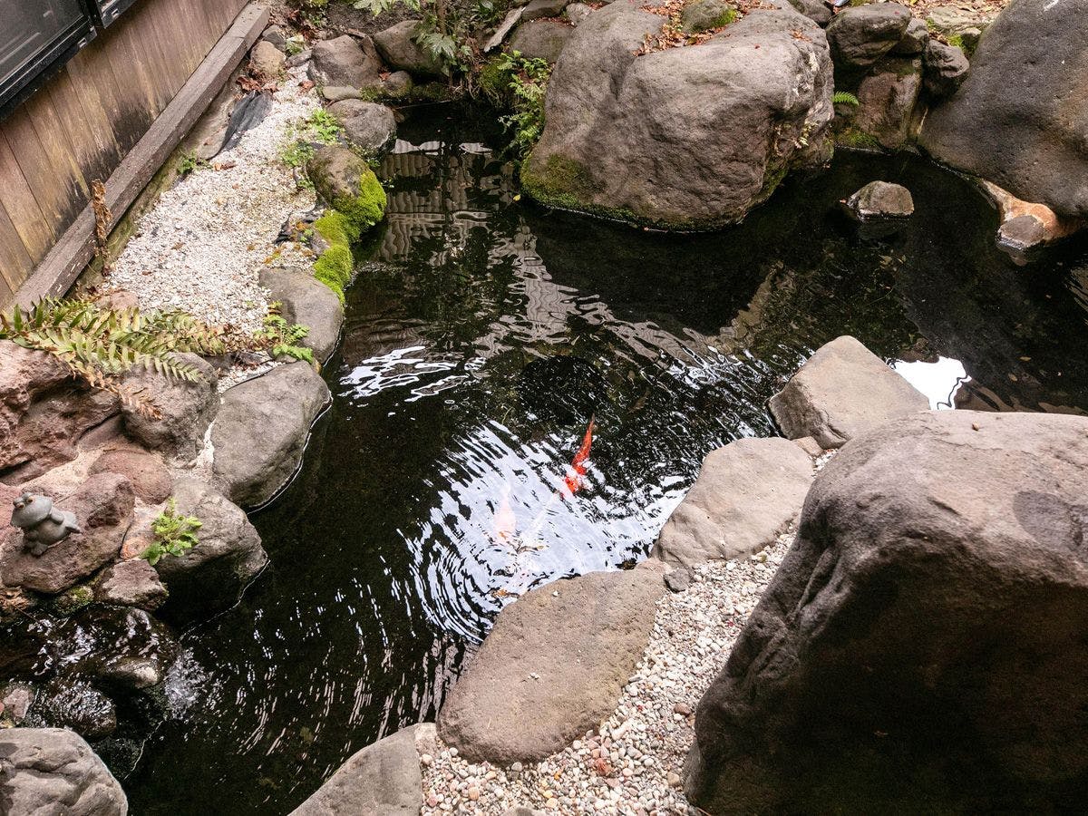 Aso Tsuruya Ryokan