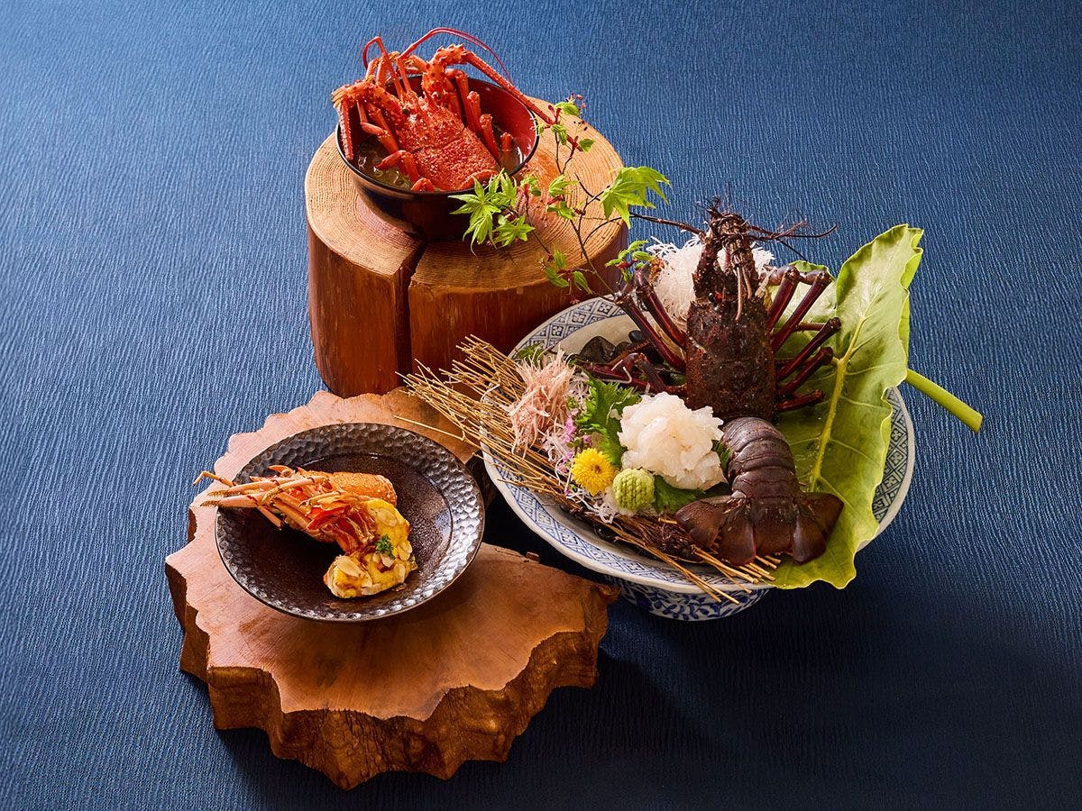 Natural Onsen Hinata no Yado Nichinan Miyazaki